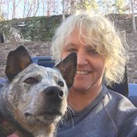 Shayne Hill's profile image