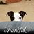 Robert Woolsteen's profile image