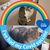 Siobhan McCormick Gardiner's profile image