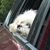 Tim Harnois's profile image
