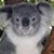 Peggy Buccos's profile image