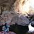 Priscilla Olmstead's profile image