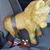 Refujia Dominga del Corral's profile image