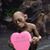 Eric Princen's profile image