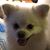 Stacy Erd's profile image