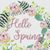 Kristy Kay Hawes-Schaeffer's profile image