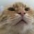 Randy Dove's profile image