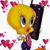 Donna Wendt's profile image
