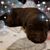 Sheila Smyre's profile image