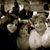 Gloria Windham's profile image