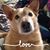 Carol Tubb Reeves's profile image
