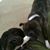 Tamela Smith's profile image