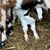 Marilyn Foss Breeden's profile image
