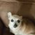 Janice Kay Dixon Beasley's profile image