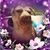 Robin Slack Dassinger's profile image