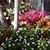 Sharon Mahabir's profile image