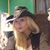 Lana Bloemer's profile image