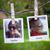 Lisa Roberts Hampshire's profile image