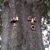 David M. Roe's profile image