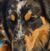 William Dawson's profile image