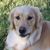 Deborah Stubbs Piel's profile image