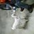 David Armond's profile image