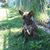 Patricia Cicardo's profile image