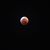 Gail Mathis's profile image