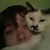 Cheyenne Suzanne Cody's profile image