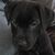 Jeff Kerns's profile image