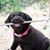 Claudia Stoll's profile image