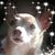 Juliet Page's profile image
