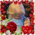 Wendy Stern Lydon's profile image