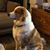 Warren Loehr's profile image