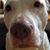 Chris Hunsinger's profile image