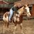 Carolynn Popp's profile image