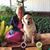 Elizabeth Bernet Jones's profile image