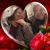Cheryl Johnson's profile image