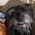 Kim Mahan Mirabelli's profile image