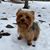 Susan Van De Bogart's profile image