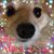 Julie Reuter's profile image