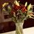 Anna M Lopez's profile image