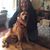 Laura Stone Burgess's profile image