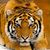 Lynn Zills's profile image
