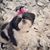 Jennifer Taylor Jones's profile image