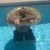 Jay Tate's profile image