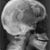 Mike Triggs's profile image