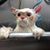 Joe El Taverna's profile image