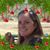 Hollingsworth Leslie Feist's profile image