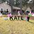 Karen Kay Webb's profile image